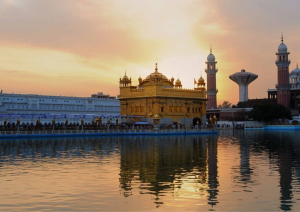 untitled design (13)