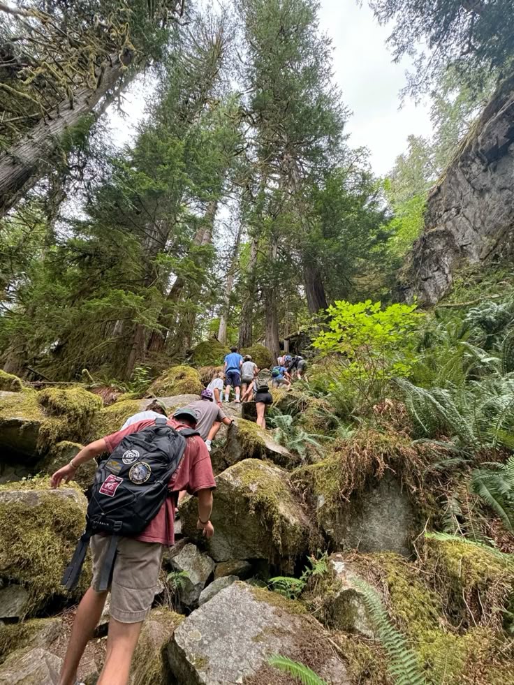 12f92636b49b3f3156d2d3636898c048