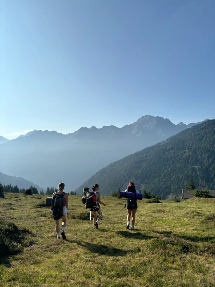 875d0553436bb45b3a62902877d39312