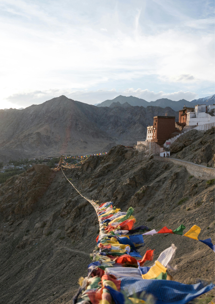 untitled design (33)