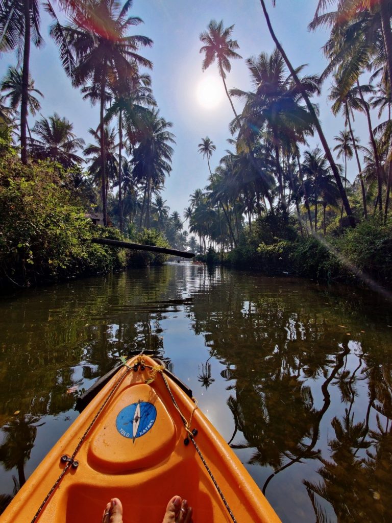 customized goa package